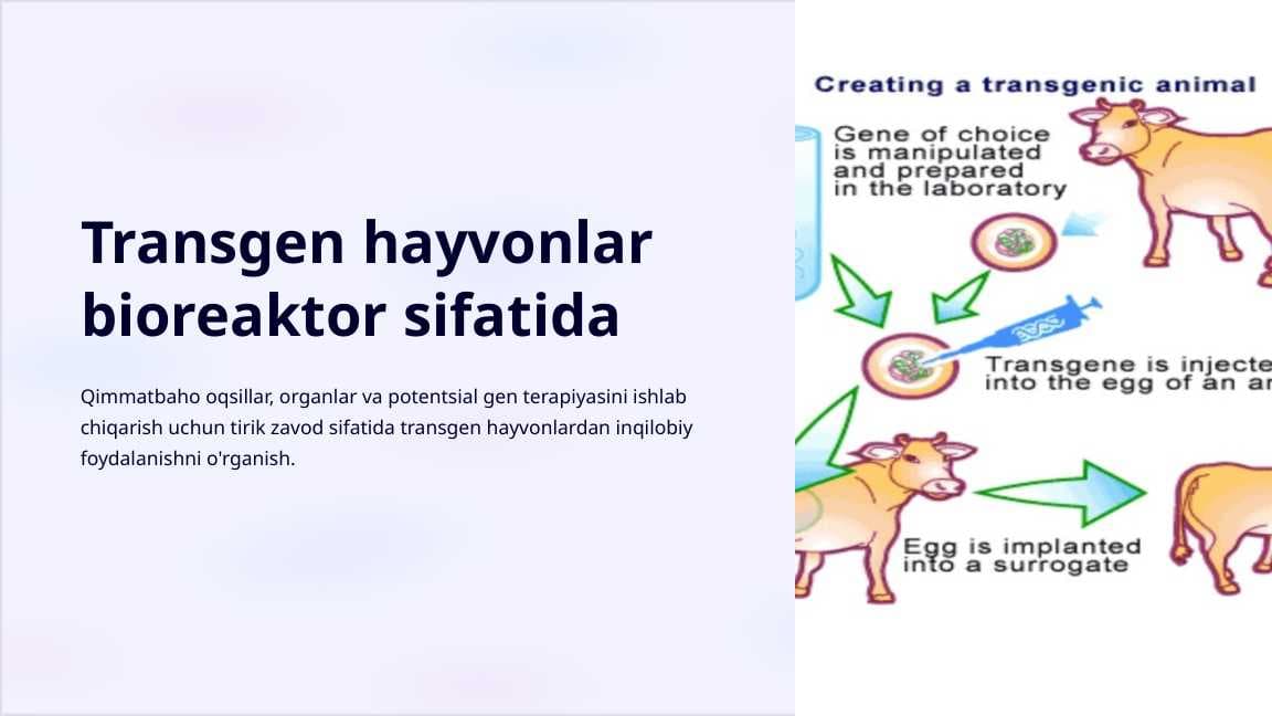 Transgen hayvonlar bioreaktor sifatida