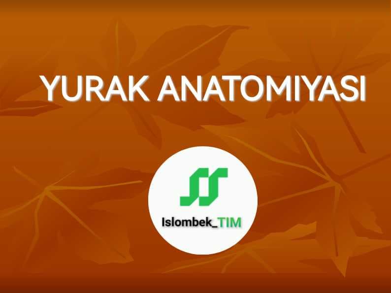 YURAK ANATOMIYASI