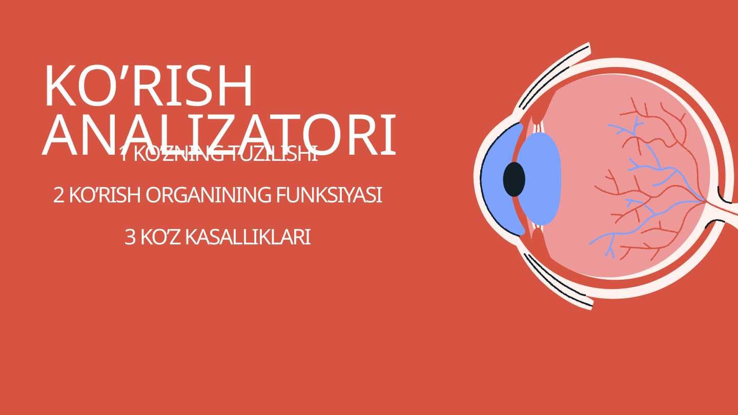 Ko'rish analizatori