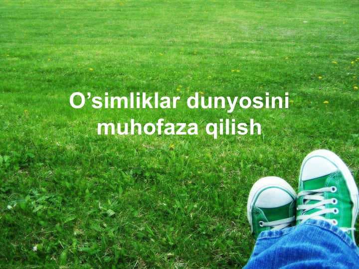 O’simliklar dunyosini muhofaza qilish