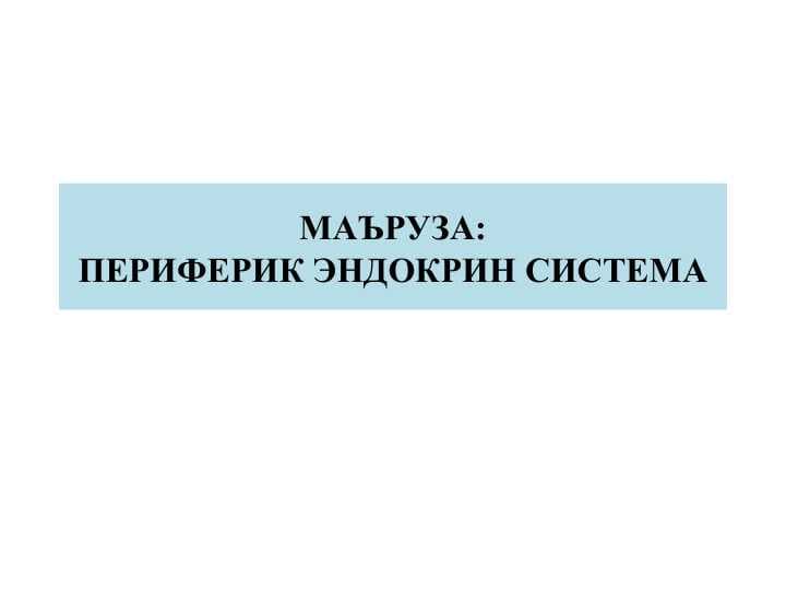ПЕРИФЕРИК ЭНДОКРИН СИСТЕМА
