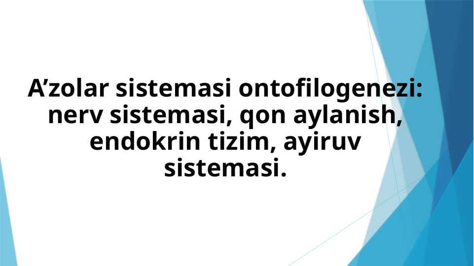 A’zolar sistemasi ontofilogenezi nerv sistemasi, qon aylanish, endokrin tizim, ayiruv sistemasi.