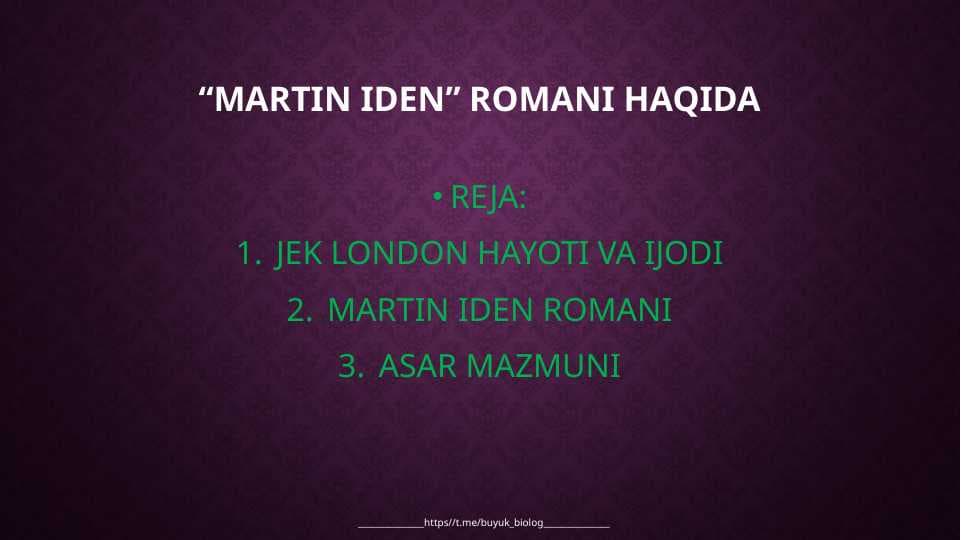 “MARTIN IDEN” ROMANI HAQIDA
