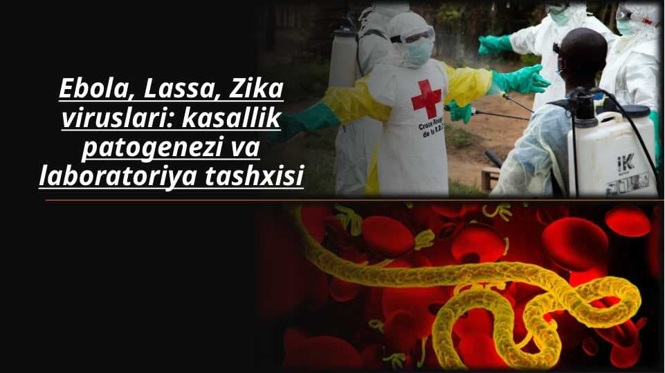 Ebola_Lassa_Zika viruslari_kasallik patogenezi va laboratoriya tashxisi