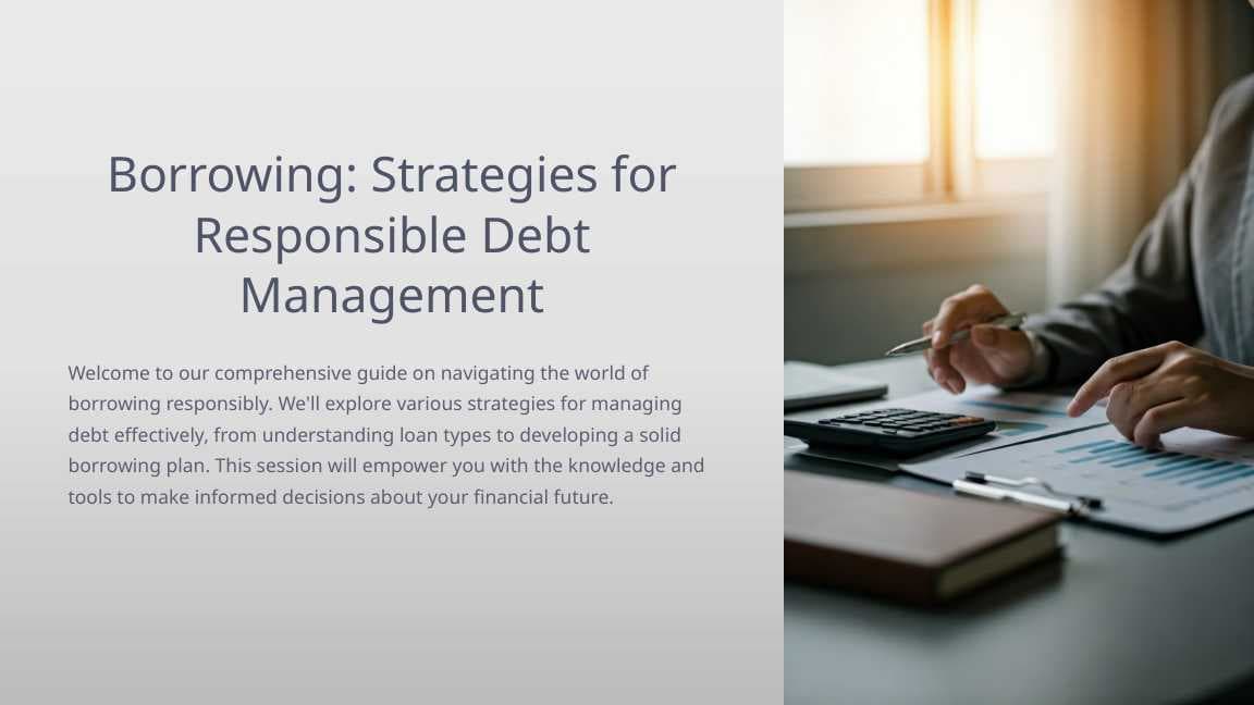 Borrowing-Strategies.