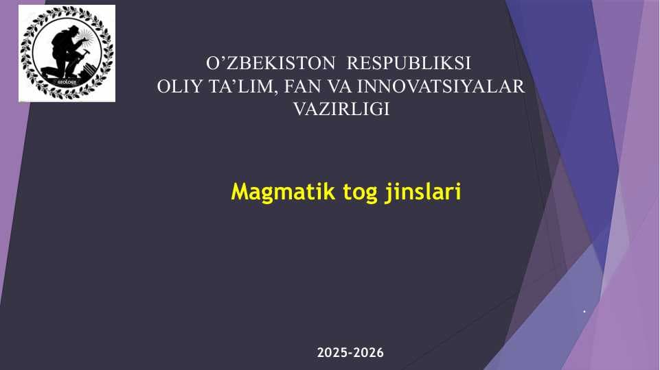 Magmatik tog jinslari