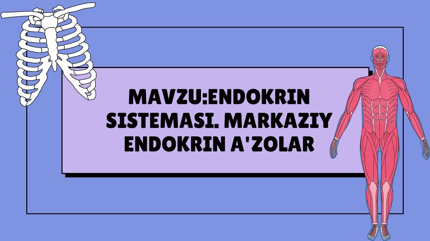 Endokrin sistemasi. Markaziy endokrin a'zolar
