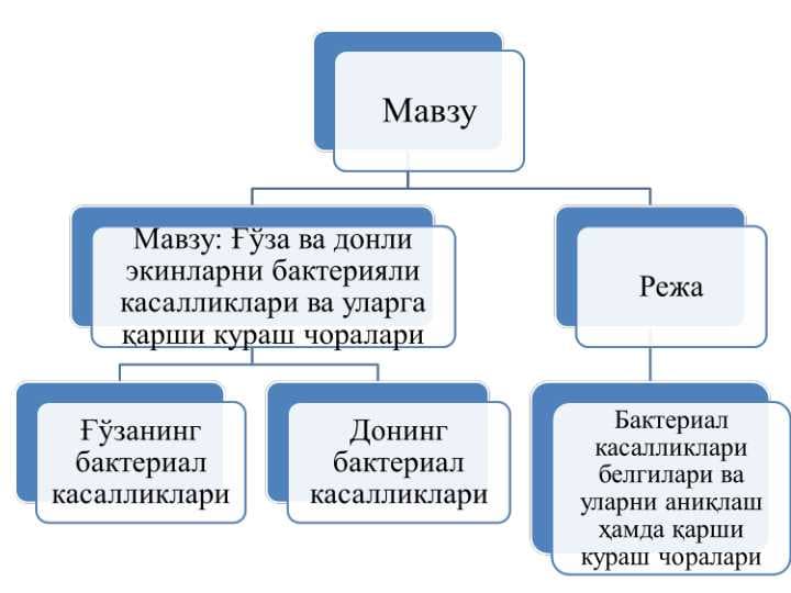 Ғўза ва донли экинларни бактерияли касалликлари ва уларга қарши кураш чоралари