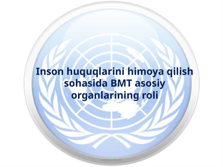 Inson huquqlarini himoya qilish sohasida BMT asosiy organlarining roli
