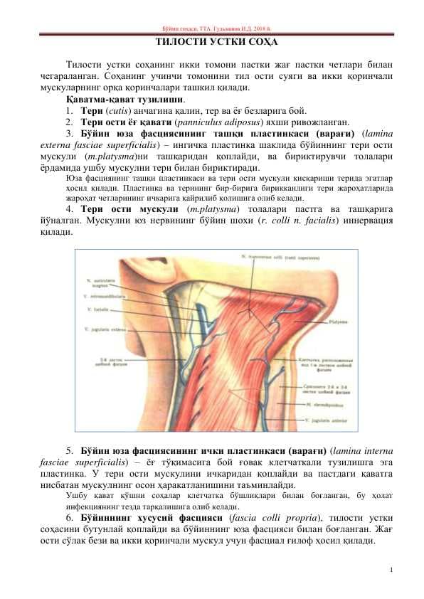 Til osti sohasi