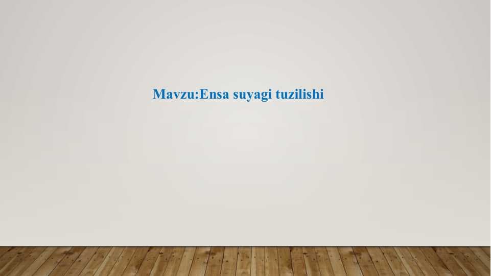 Ensa suayagi tuzilishi