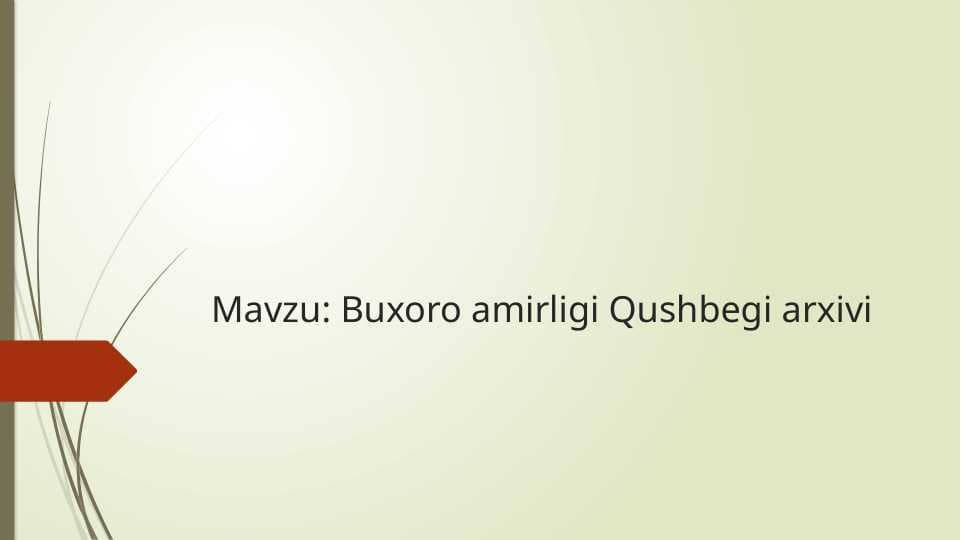 Buxoro amirligi Qushbegi arxivi