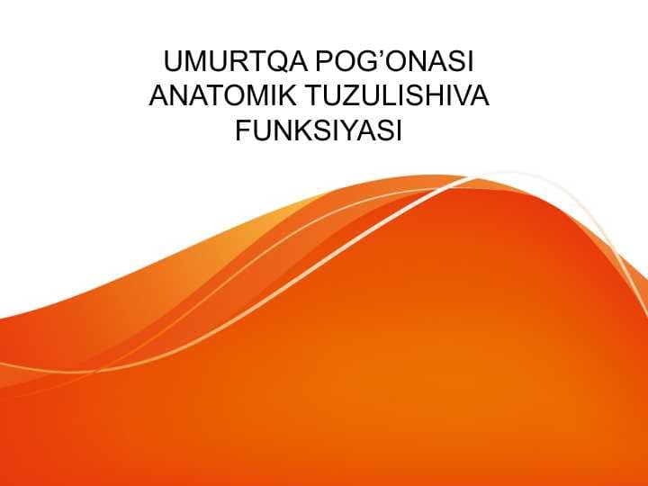 UMURTQA POG’ONASI ANATOMIK TUZULISHIVA FUNKSIYASI