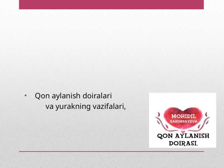 Qon aylanish doiralari va yurakning vazifalari