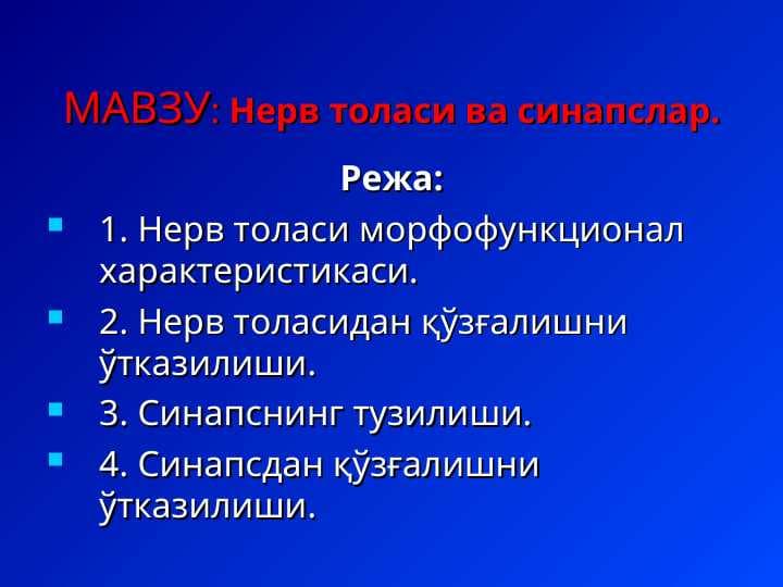 Нерв толаси ва синапслар