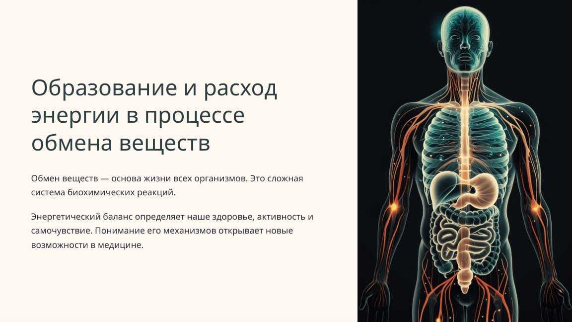 Образование и расход энергии в процессе обмена веществ