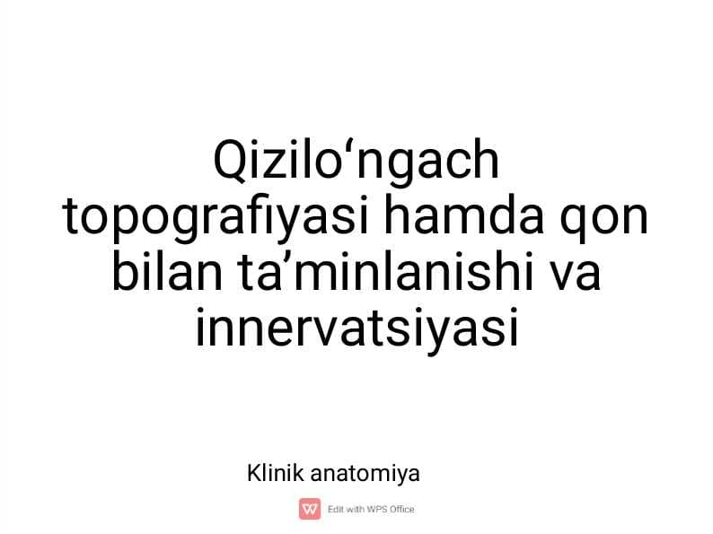 Qizilo'ngach topografiyasi hamda qon bilan ta'minlanishi.