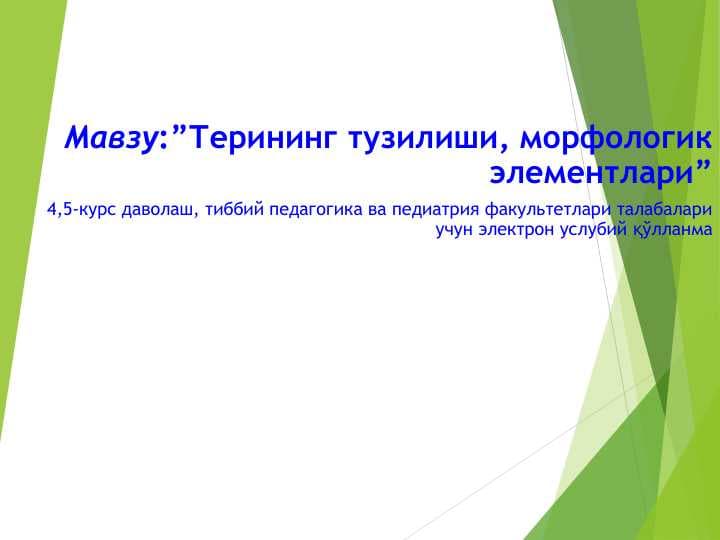Терининг тузилиши, морфологик элементлари