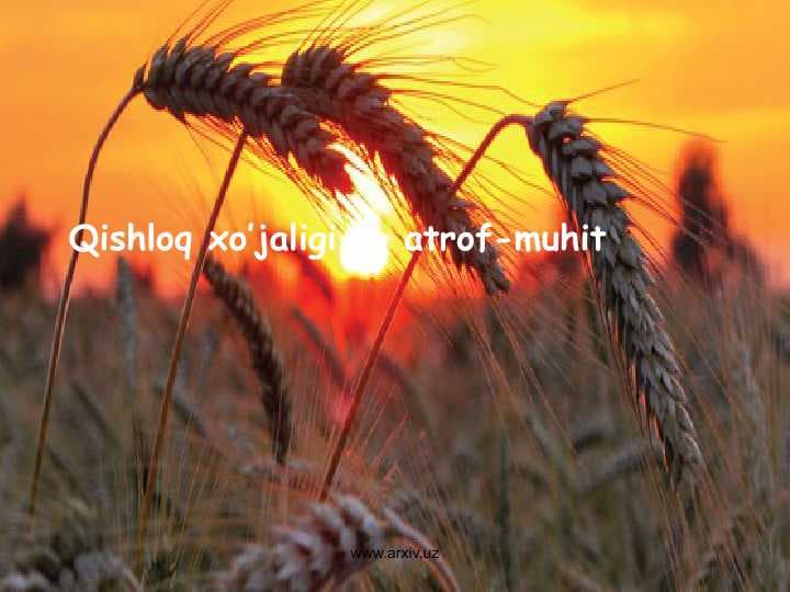 Qishloq xo’jaligi va atrof-muhit