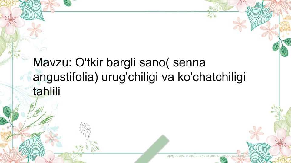O'tkir bargli sano urug'chiligi va ko'chatchiligi tahlili