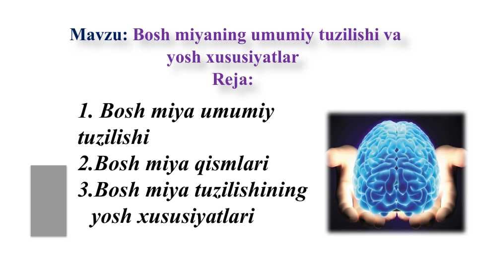 Bosh miyaning umumiy tuzilishi va yosh xususiyatlar