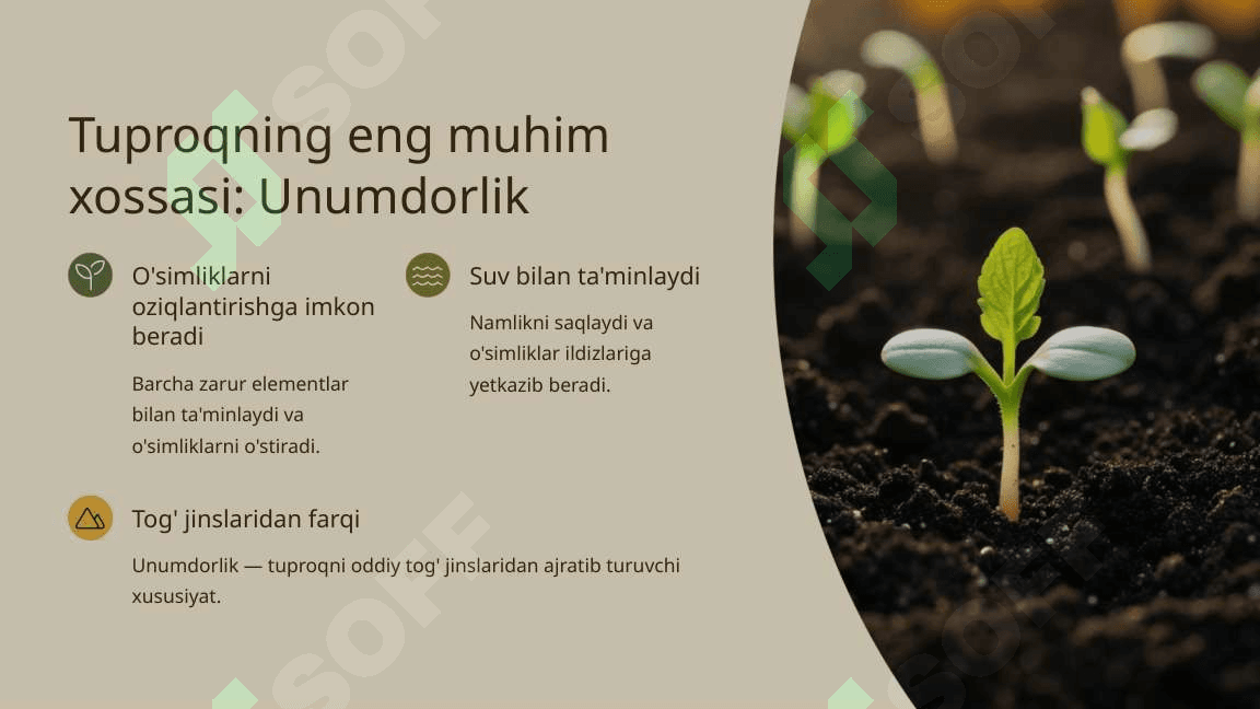 Tuproq va uning tabiiy xususiyatlari