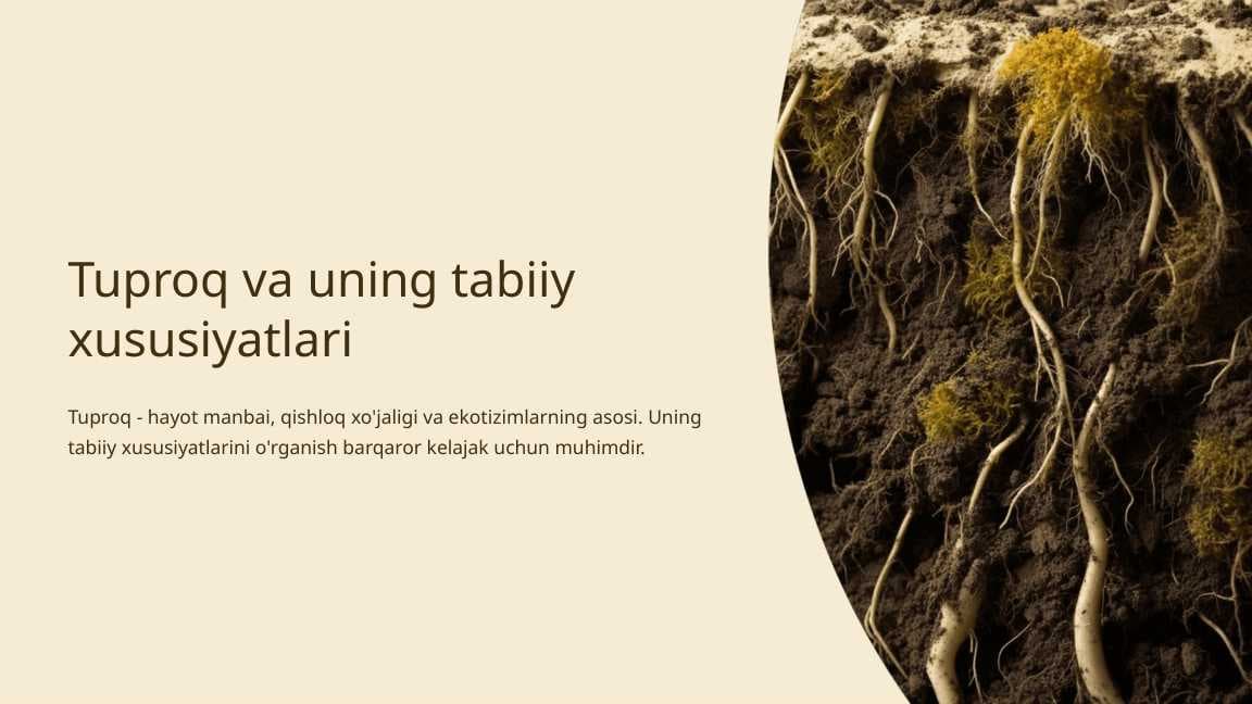 Tuproq va uning tabiiy xususiyatlari