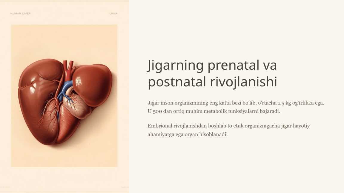 Jigarning prenatal va postnatal rivojlanishi