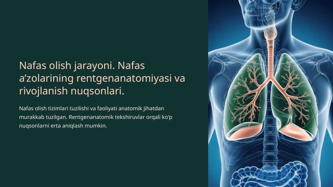 Nafas olish jarayoni. Nafas a’zolarining rentgenanatomiyasi va rivojlanish nuqsonlari