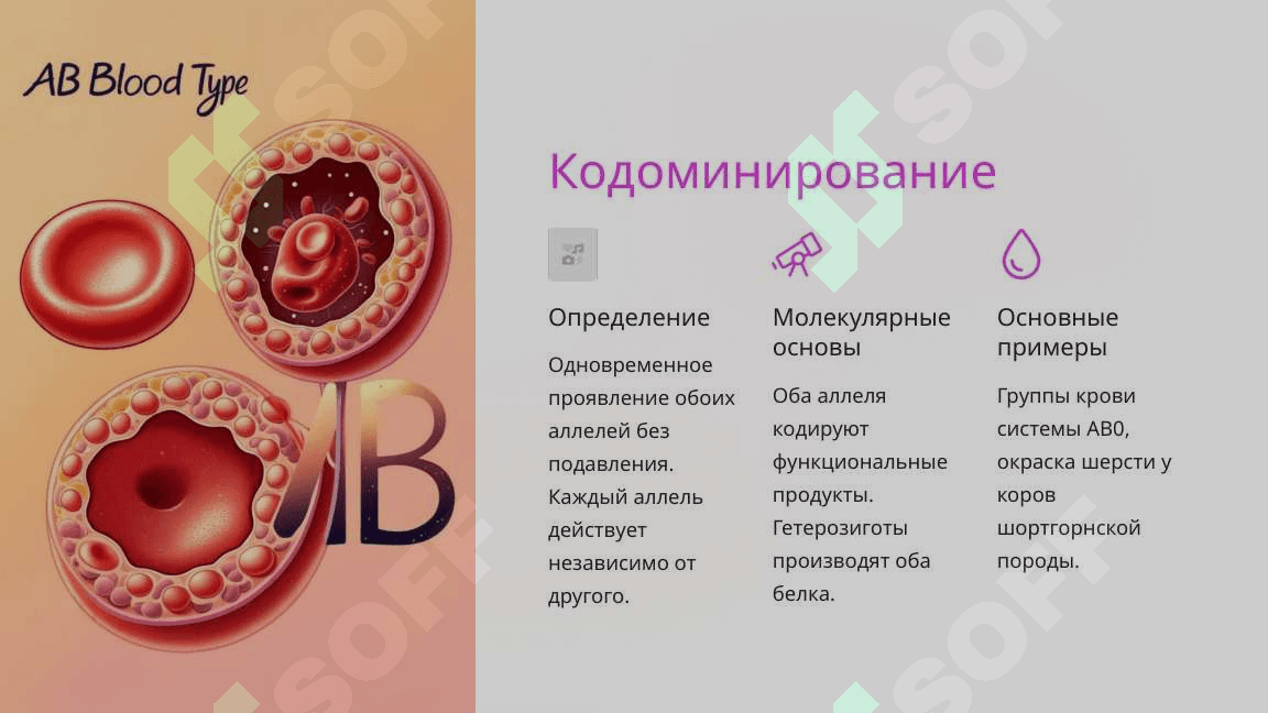 Моногибридное скрещивание. Взаимодействие аллельных генов, полилеллизм