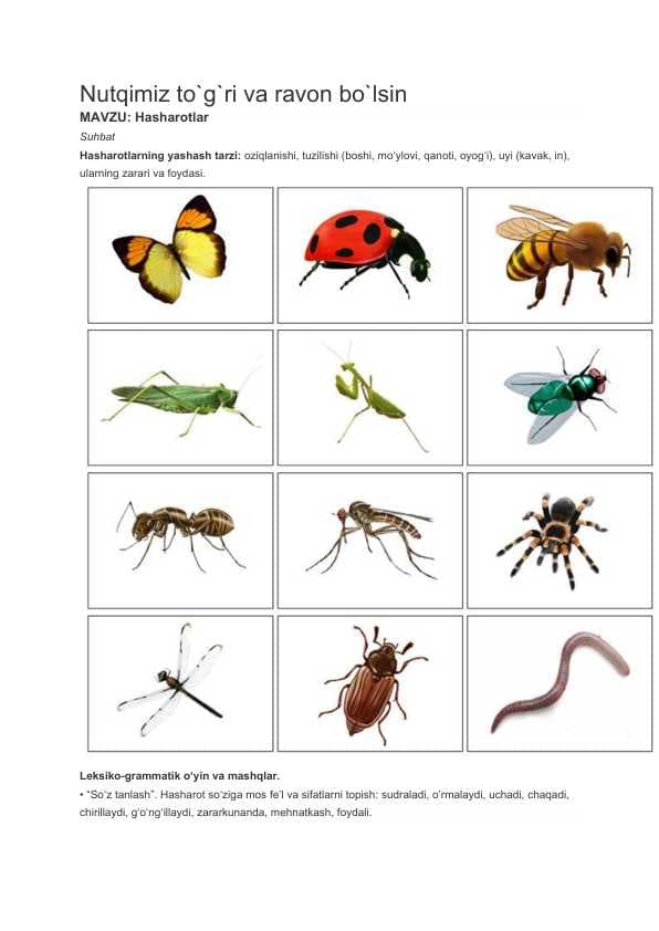 Nutqimiz to`g`ri va ravon bo`lsin MAVZU: Hasharotlar