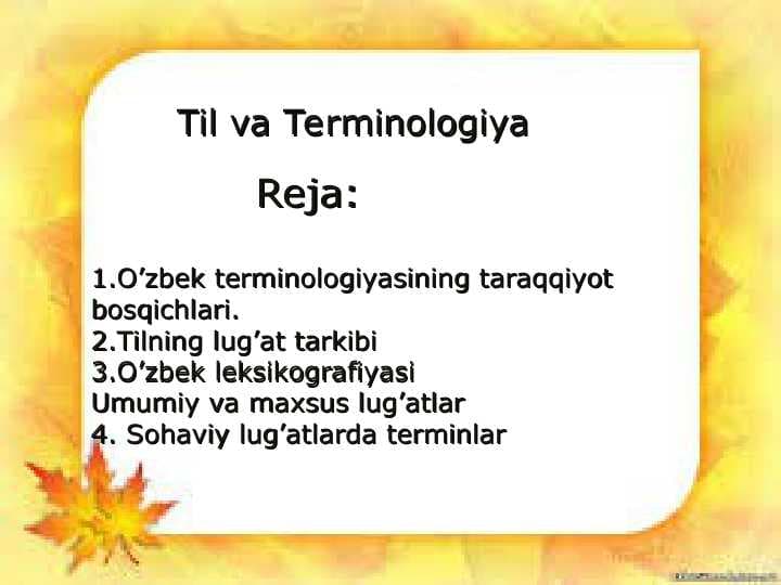 Til va Terminologiya