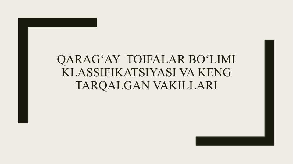 Qarag‘ay toifalar boʻlimi klassifikatsiyasi va keng tarqalgan vakillari