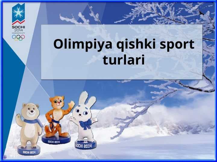 Olimpiya qishki sport turlari