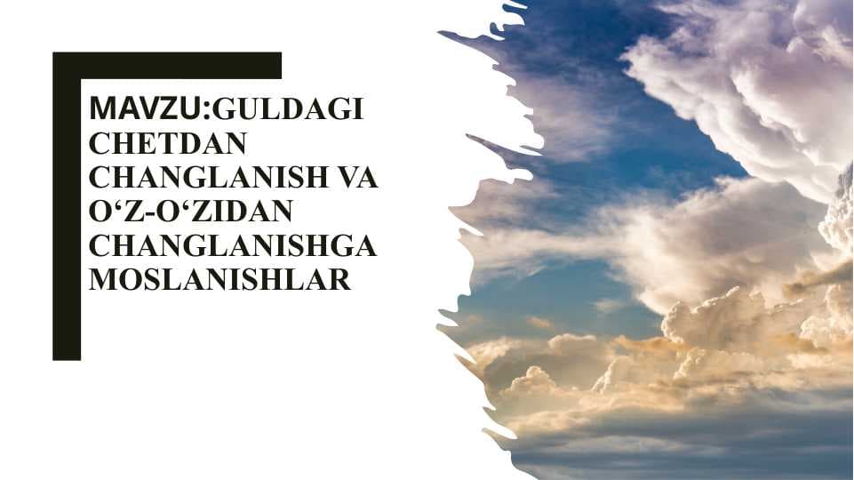 Guldagi chetdan changlanish va o‘z-o‘zidan changlanishga moslanishlar