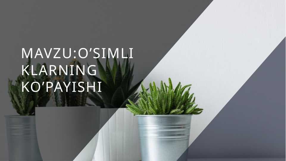 O’simliklarning ko’payishi