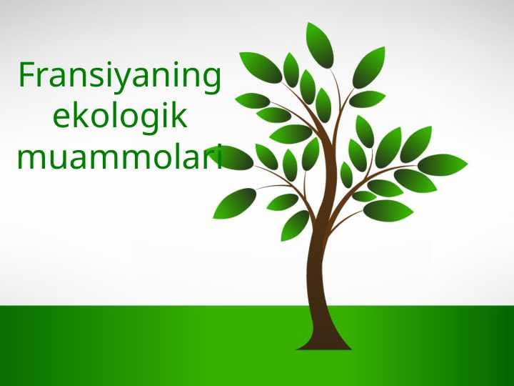 Fransiyaning ekologik muammolari