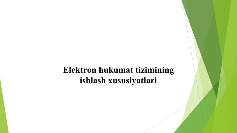 Elektron hukumat tizimining ishlash xususiyatlari
