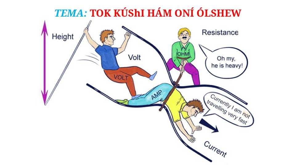 Tok kúshi hám onı ólshew_5E