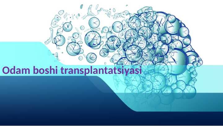 Odam boshi transplantatsiyasi