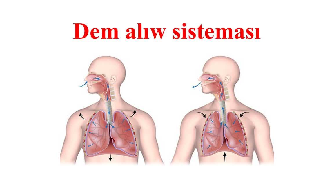 Dem alıw sisteması_5E