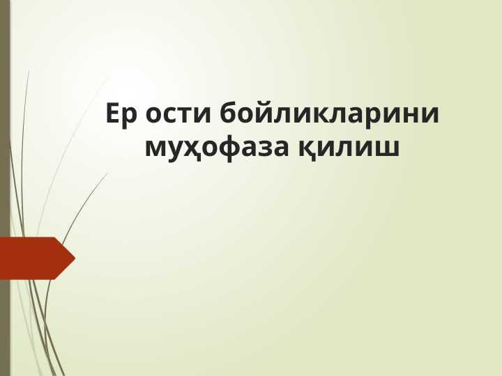Ер ости бойликларини муҳофаза қилиш