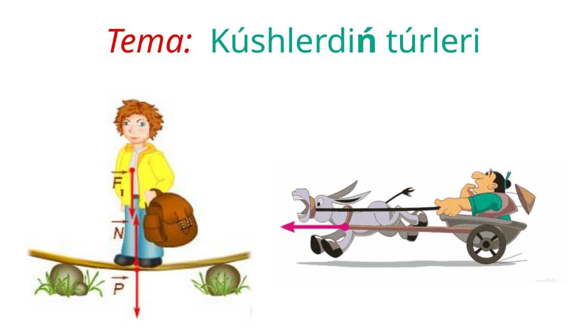 Kúshlerdiń túrleri_5E