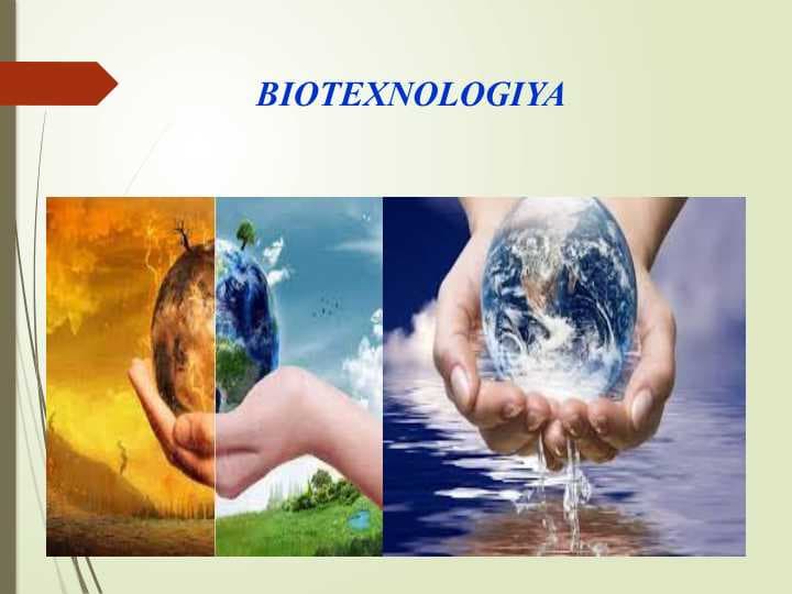 BIOTEXNOLOGIYA