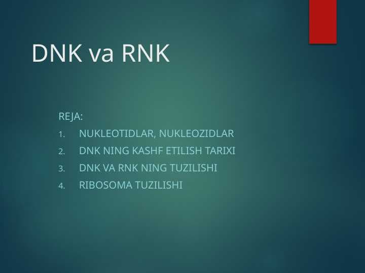 DNK va RNK