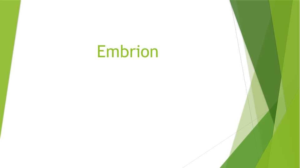 Embrion