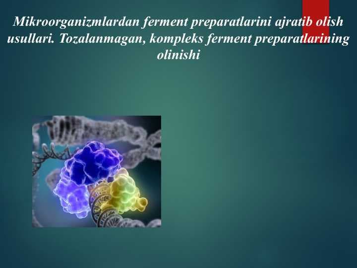 Mikroorganizmlardan ferment preparatlarini ajratib olish usullari. Tozalanmagan, kompleks ferment preparatlarining olinishi