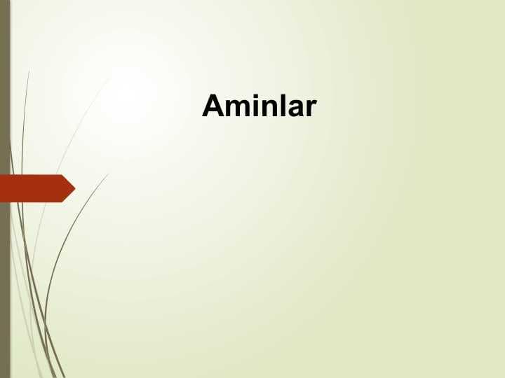 Aminlar