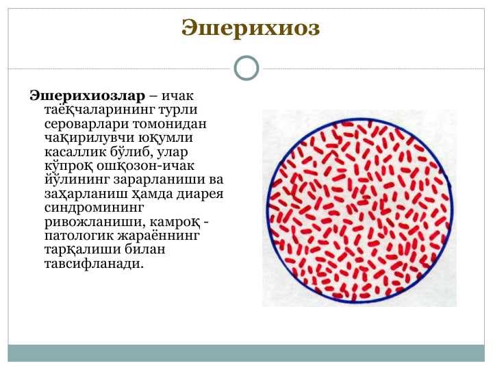 Эшерихиоз
