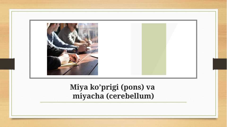 Miya ko’prigi va miyacha